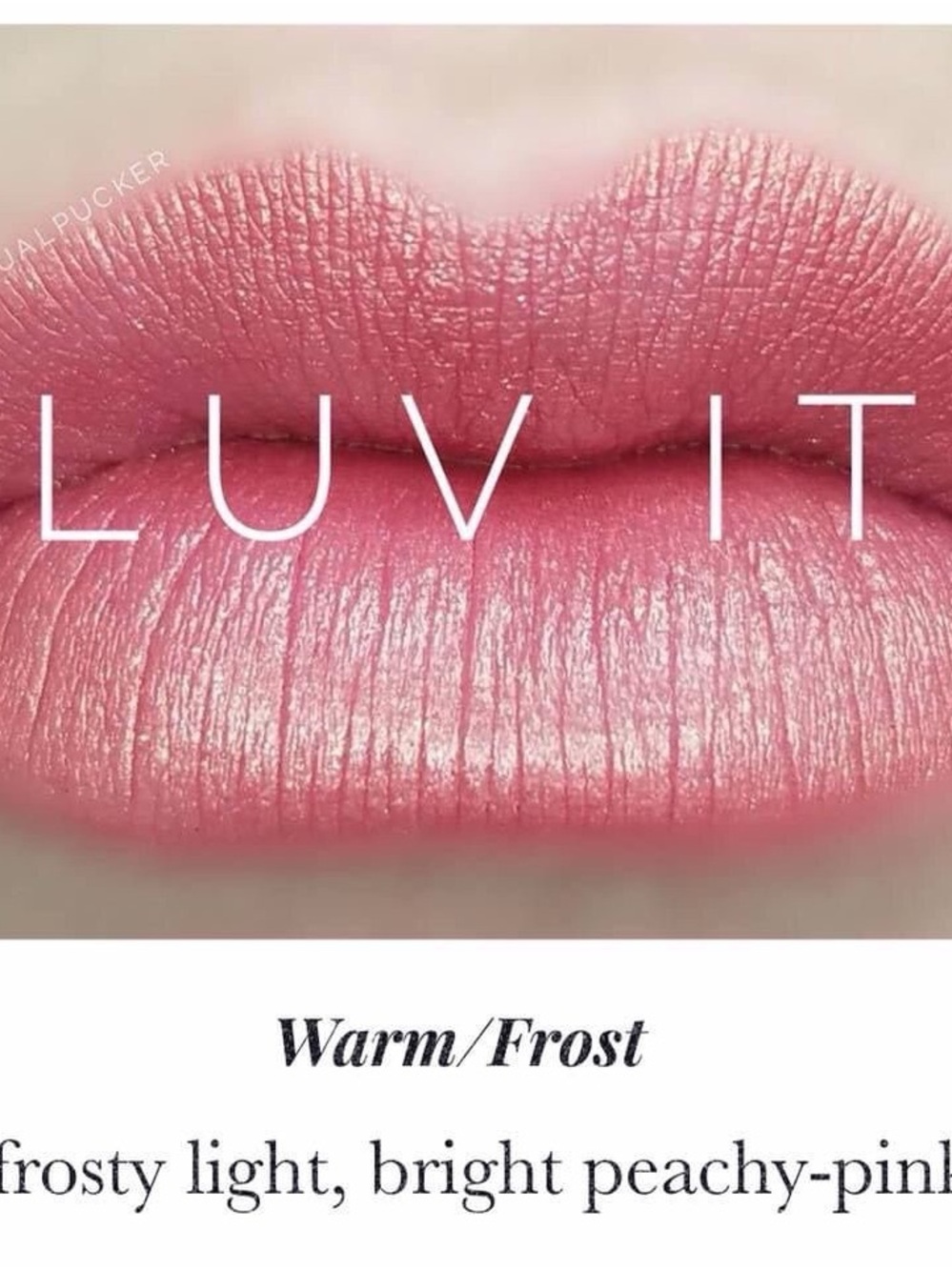 Lipsense by SeneGence LUV IT never opened full sized tube long lasting lipstick
